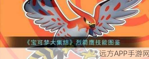 烈箭鹰驰骋战场!宝可梦大集结持有物选择及实战攻略深度剖析