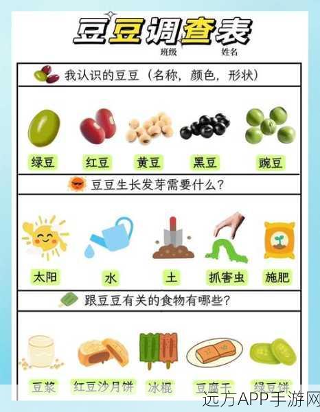 煮豆智慧园,文字找茬新挑战,智慧与趣味的完美碰撞!