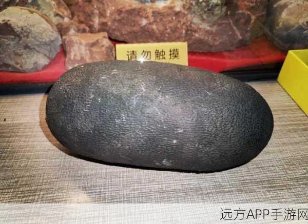 妄想山海手游,恐龙蛋高效拾取攻略,揭秘稀有蛋点分布