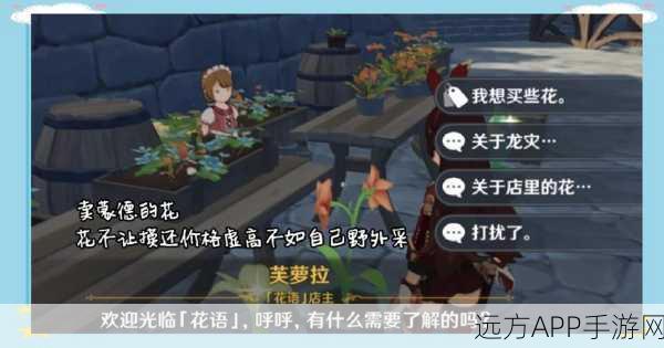 蒙德杂货店全揭秘,原神购物达人养成指南