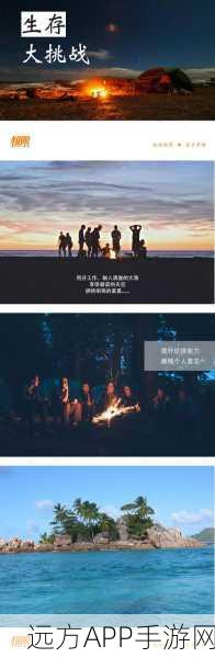 荒岛生存记,冒险、建造与生存的极致挑战
