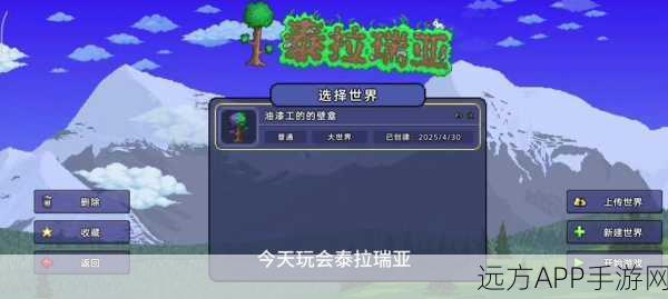 泰拉瑞亚新宠爆料,灵动之羽,鹦鹉伙伴陪你探险!
