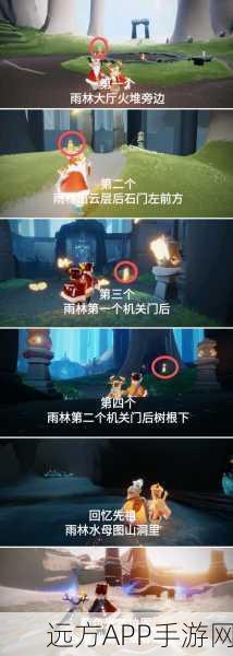 光遇小王子季雨林蜡烛全攻略，揭秘雨林蜡烛分布与高效寻找技巧