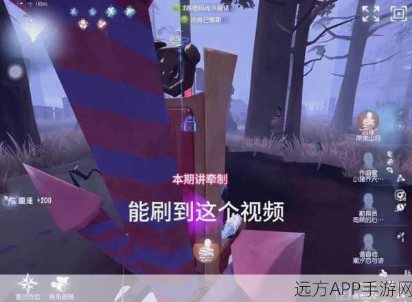 揭秘第五人格电闸隐身谜团，高手策略应对电闸不显示挑战