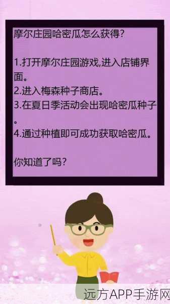 摩尔庄园哈密瓜丰收秘籍,解锁高效获取与种植技巧大赛