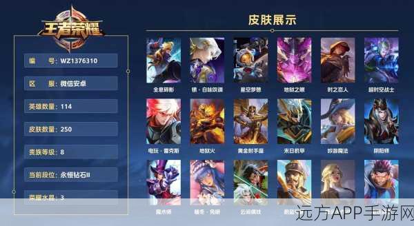 王者荣耀李小龙限定动作大揭秘,领取攻略与二维码分享