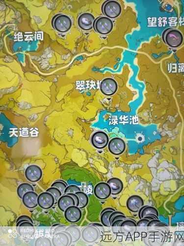原神福至五彩第五天，黄色采集物位置全攻略