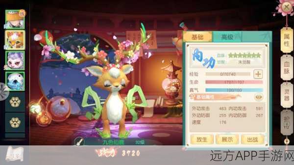 神雕OL坐骑大揭秘,神雕侠侣手游中顶级坐骑深度分析与推荐