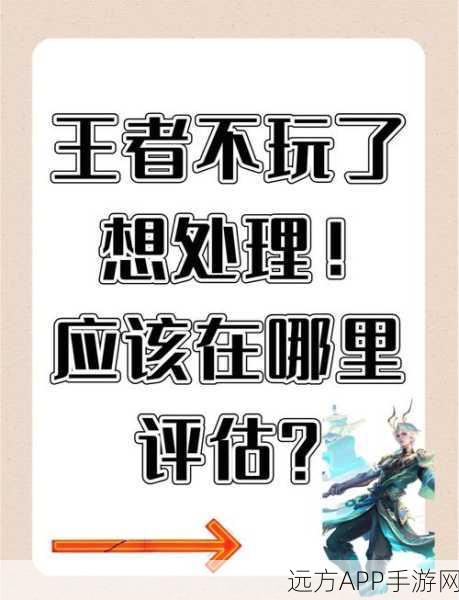 王者荣耀账号安全升级，打造坚不可摧的密码防线，守护你的荣耀之路