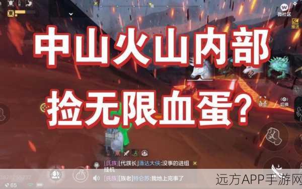 妄想山海,揭秘有限血蛋与无限血蛋的奇幻探险之旅