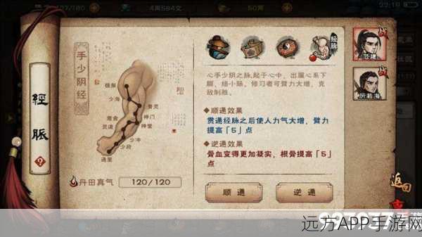烟雨江湖深度解析，少林身法武学精髓与实战攻略
