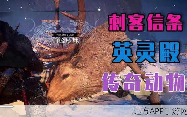刺客信条英灵殿，揭秘传奇动物的神秘面纱与战斗技巧