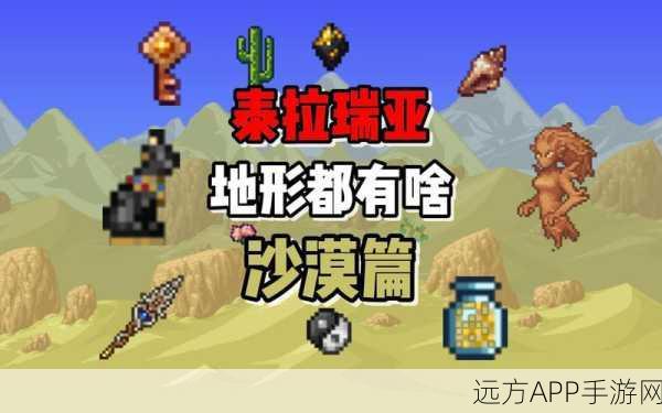 泰拉瑞亚，揭秘墓地地形深度策略，解锁神秘宝藏与挑战