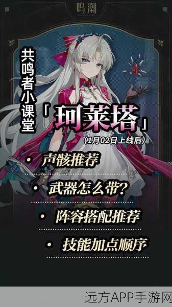 鸣潮深度攻略,珂莱塔共鸣链高效输出抽取策略全解析