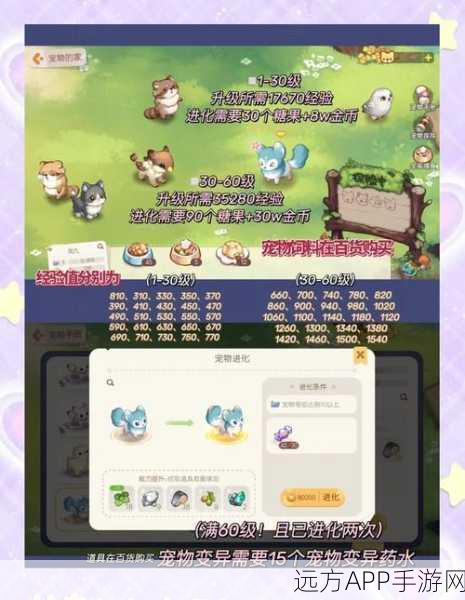 奥比岛手游，宠物家园全面解锁秘籍，等级飞速提升与特色玩法揭秘