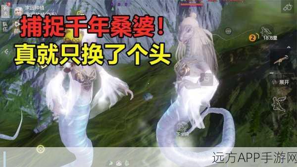 妄想山海深度剖析,桑婆角色强度全解析及竞技场实战技巧