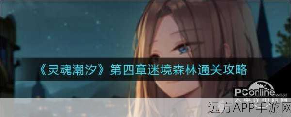 灵魂潮汐迷境森林第四章终极攻略，揭秘通关秘籍与实战技巧