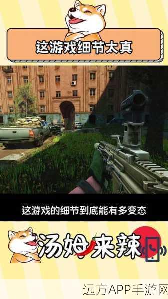 暗区突围深度解析,暗区势力子弹刷新机制与高效获取策略