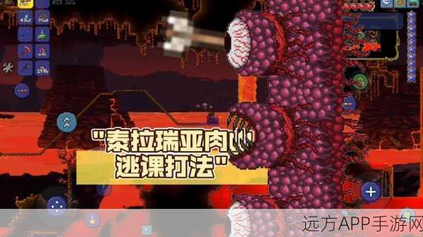 泰拉瑞亚，揭秘肉山征服战，高效战术助你斩巨兽