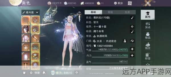 一梦江湖乐心角色揭秘，探寻乐心姐姐的神秘身份