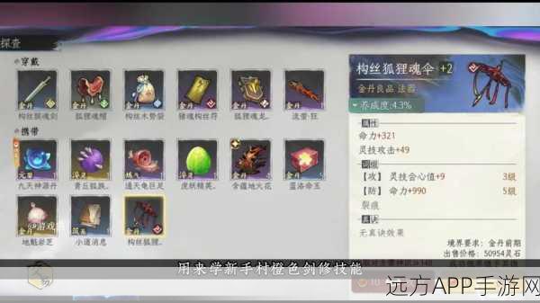 鬼谷八荒新手攻略,天命选择深度解析与实战技巧