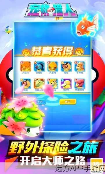 口袋妖怪RS-E,重温经典,热血冒险再启航,全新赛事细节揭秘