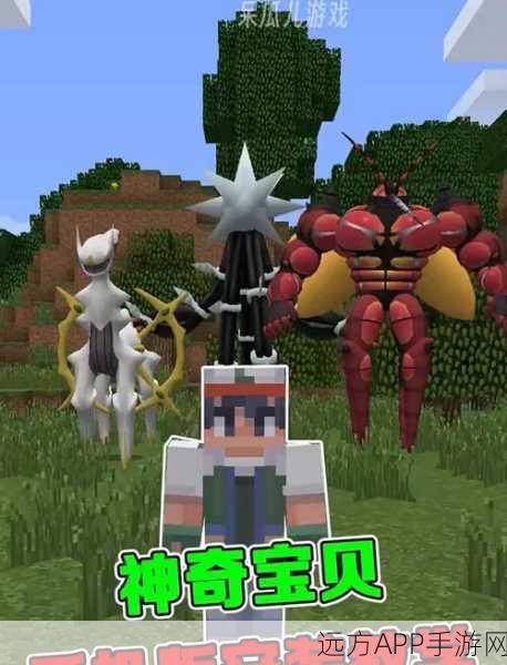 我的世界宝可梦，解锁无限等级挑战，探索神秘赛事新篇章