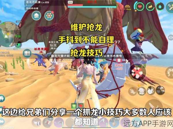 手游攻略，揭秘创造与魔法熔火龙饲料制作秘籍