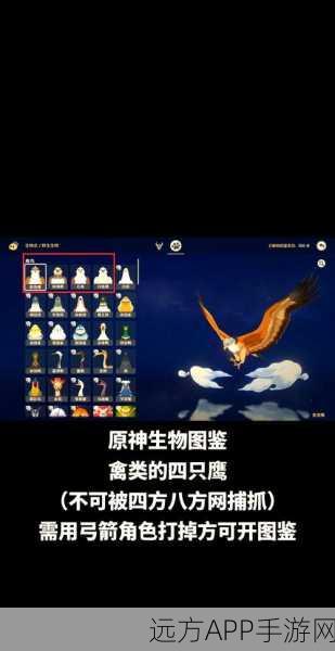 手游攻略大揭秘，黑色沙漠中如何捕获炫酷宠物鹰？