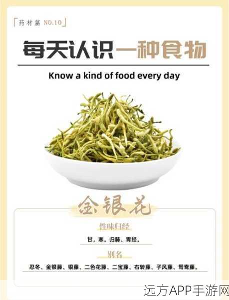 烟雨江湖，揭秘金银花的神秘功效与用途