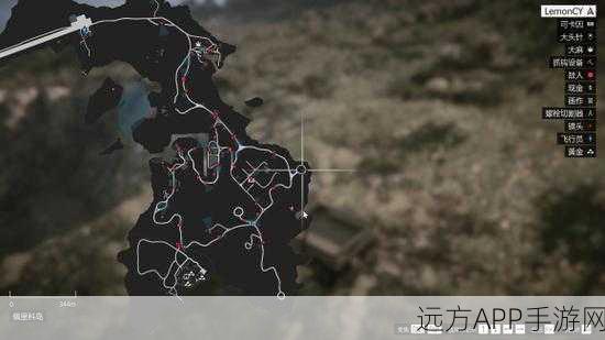 GTA5深度探索，揭秘神秘白鸟，高效狩猎攻略与稀有位置全解析