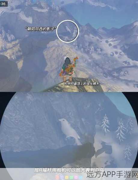 GTA5深度探索,揭秘神秘白鸟,高效狩猎攻略与稀有位置全解析
