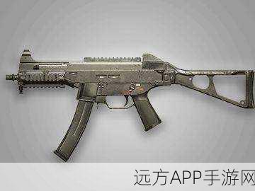 绝地求生,揭秘顶尖赛事中的枪械王者之路