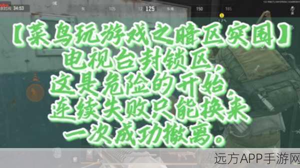 暗区突围，揭秘封锁区解锁等级与深度玩法攻略