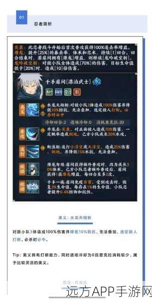火影忍者手游新角色揭秘，不风技能全解析与实战应用