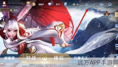 王者荣耀，轻松掌握！一键删除游戏好友教程及社交玩法揭秘