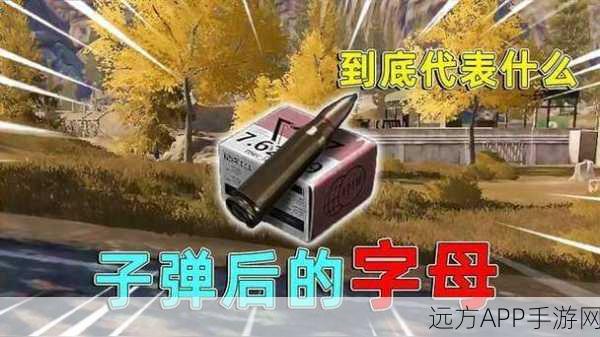 暗区突围深度解析，子弹穿门机制全揭秘