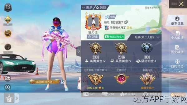 和平精英幕后揭秘,从创意到爆款,这款游戏的非凡诞生之旅
