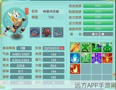 神武手游ST坐骑系别技能优选指南，打造无敌战宠的秘诀