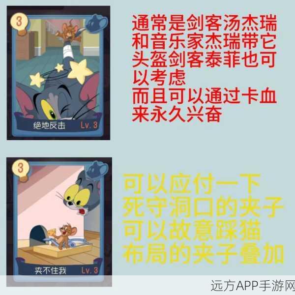 剑客杰瑞的智胜秘籍,精选知识卡搭配攻略