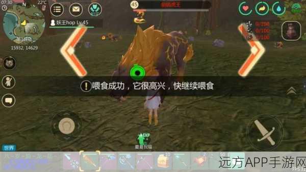 手游深度解析,创造与魔法中宠物初始攻击力的影响究竟有多大?
