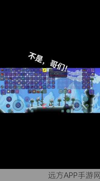 泰拉瑞亚探秘，叶列茨溜溜球的奇妙作用与实战技巧