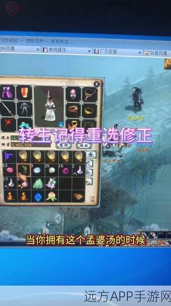 大话西游2转生修正机制揭秘，玩家能否自定义修正属性？