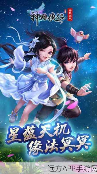 手游探秘，神雕侠侣的江湖冒险与挑战盛宴