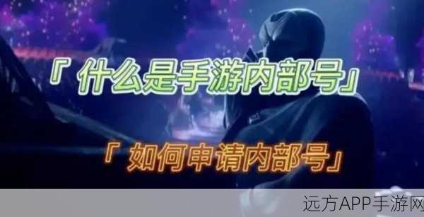 火炬之光手游,工程师技能搭配深度解析与实战攻略