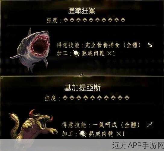 八方旅人2猎人职业宠物选择指南,最佳伙伴助你征服旅途