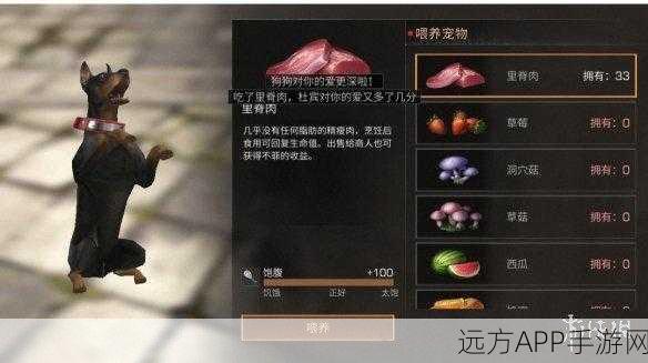 魔兽世界手游版，揭秘忠诚狗狗的获取秘籍