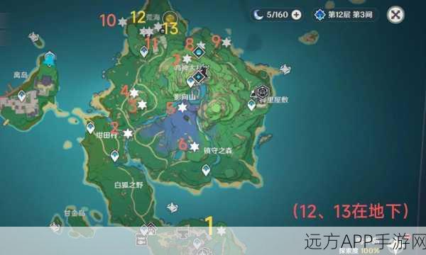 探秘稻妻，原神遗迹石块解谜大赛，揭秘宝藏之谜