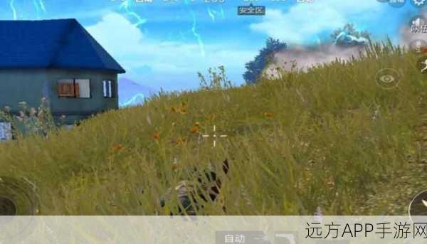 和平精英黄金岛地道战术大揭秘，苟分秘籍助你称霸战场