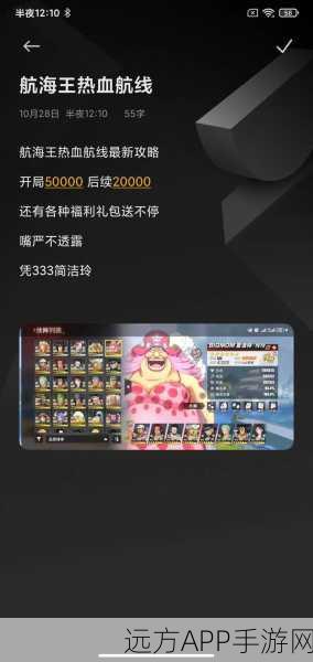 航海王,热血航线实名认证全攻略,畅享无限航海冒险!